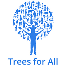 trees for all teambuilding Sunderland